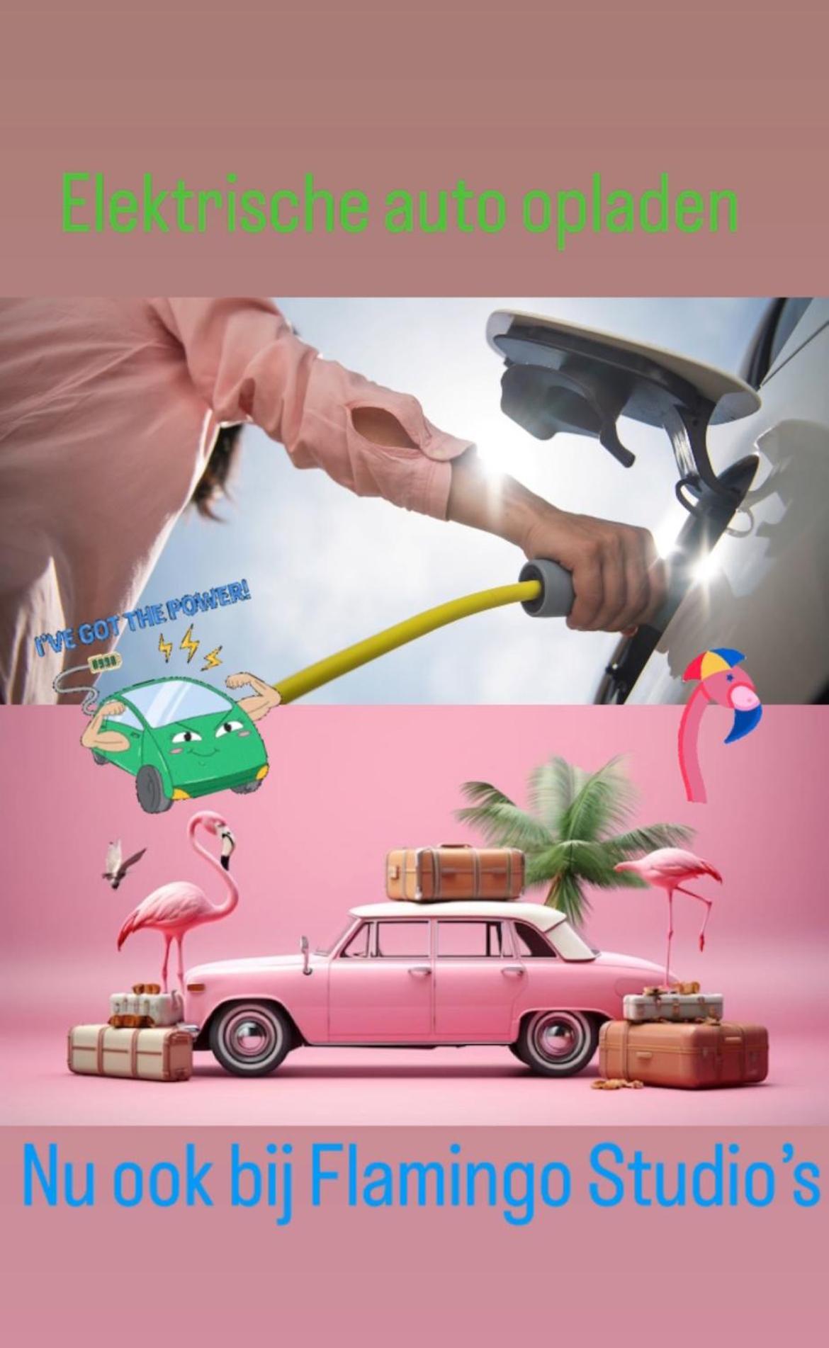 Flamingo Studio'S Zeeland Schoondijke Ngoại thất bức ảnh